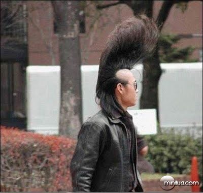 asian-elvis-big-top-hairdo-photo-funny