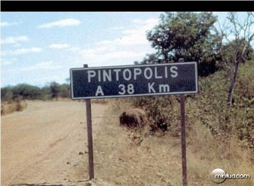 nome pintopolis