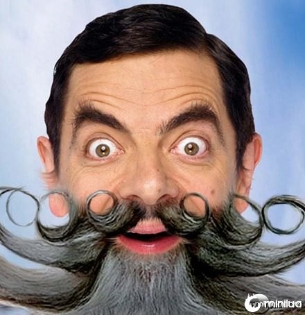 Mr-Bean-Beard--31686