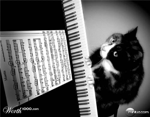 cat_piano