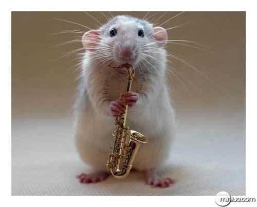 rat_saxophone