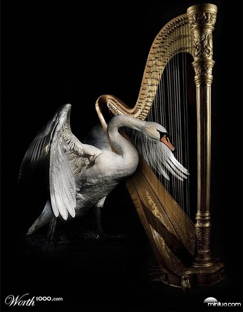 swan_harp