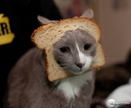 a98100_cat_7-breading