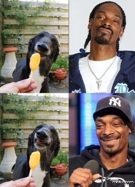 a.aaa-Snoop-Dogg