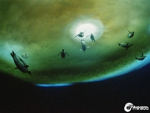 penguins-underwater