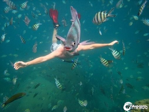 snorkeler-underwater-thailand