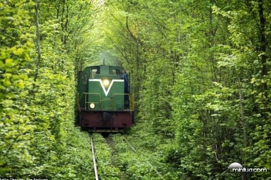 Leafy-Tunnel-Of-Love-In-Ukraine-6-537x358