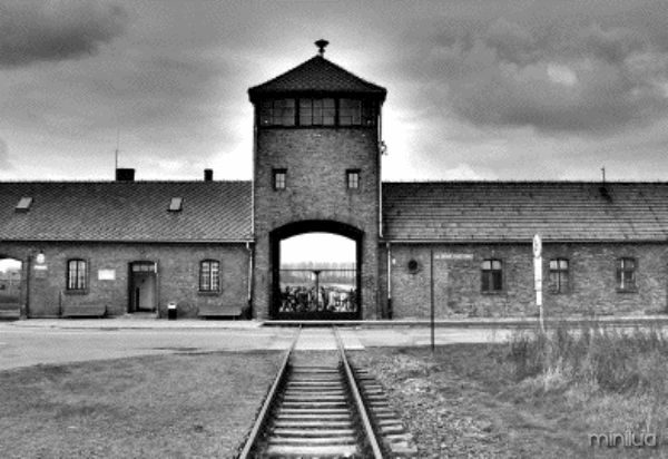 Auschwitz-Birkenau-5