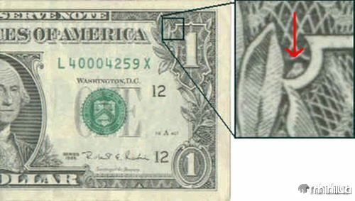 dolar1-coruja