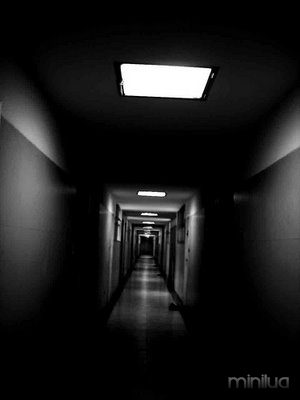 Contos De Terror # 33: Anotações no corredor