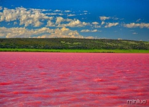 lago rosa de baixo_thumb[1]
