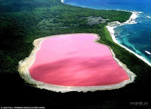 O lago Hillier e sua misteriosa água rosa
