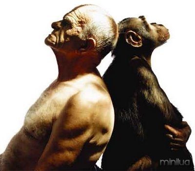 homem e macaco