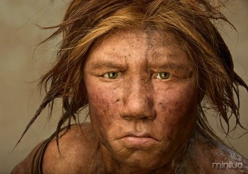 neanderthal-6151