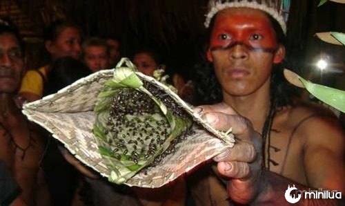 ritual indígena