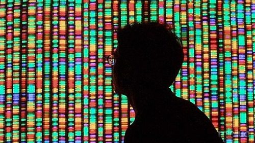 human-genome-ten-years-in_17889_600x450