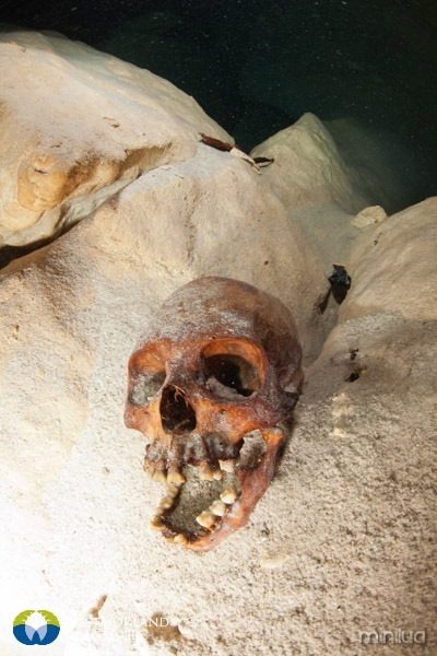 Inspecting human remains from Mayan sacrifices at Kanum Cenote