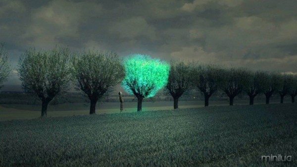 Bioluminescent-Tree-600x338.jpg